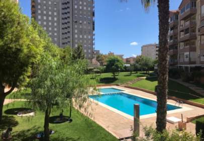 Pisos y apartamentos en Los Arenales Del Sol, Elche - Elx ...